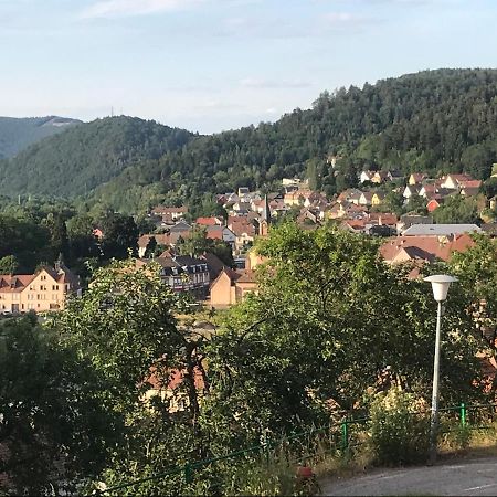 Chez Jose Lejlighed Rothau Eksteriør billede